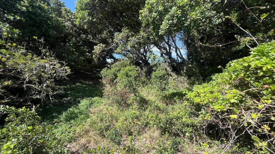 Commercial Property for Sale in Paradise Beach Eastern Cape